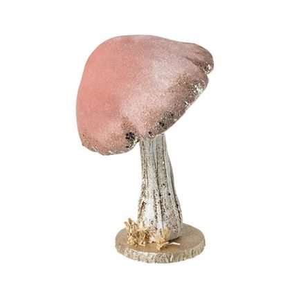Pink Velvet Mushroom