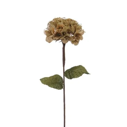 Gold hydrangea stem