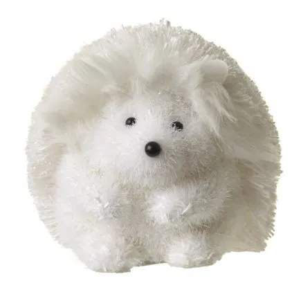 White Fluffy Hedgehog