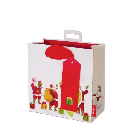 Snow Time Santa Gift Bag