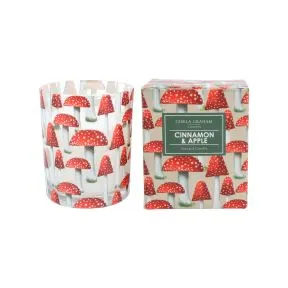 Toadstool Boxed Candle Pot Sml