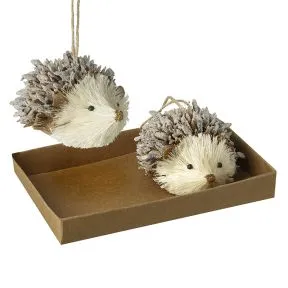 Hedgehog Couple