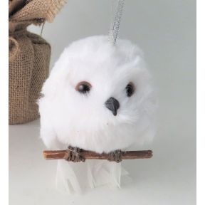 White Owl On Branch