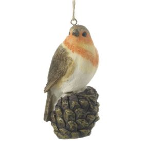 Robin on Pinecone