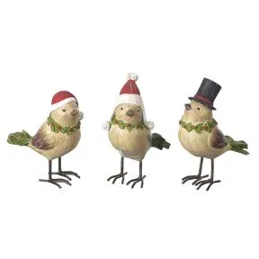 Bird in Santa Hat