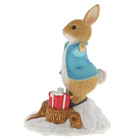 Peter Rabbit With Presents